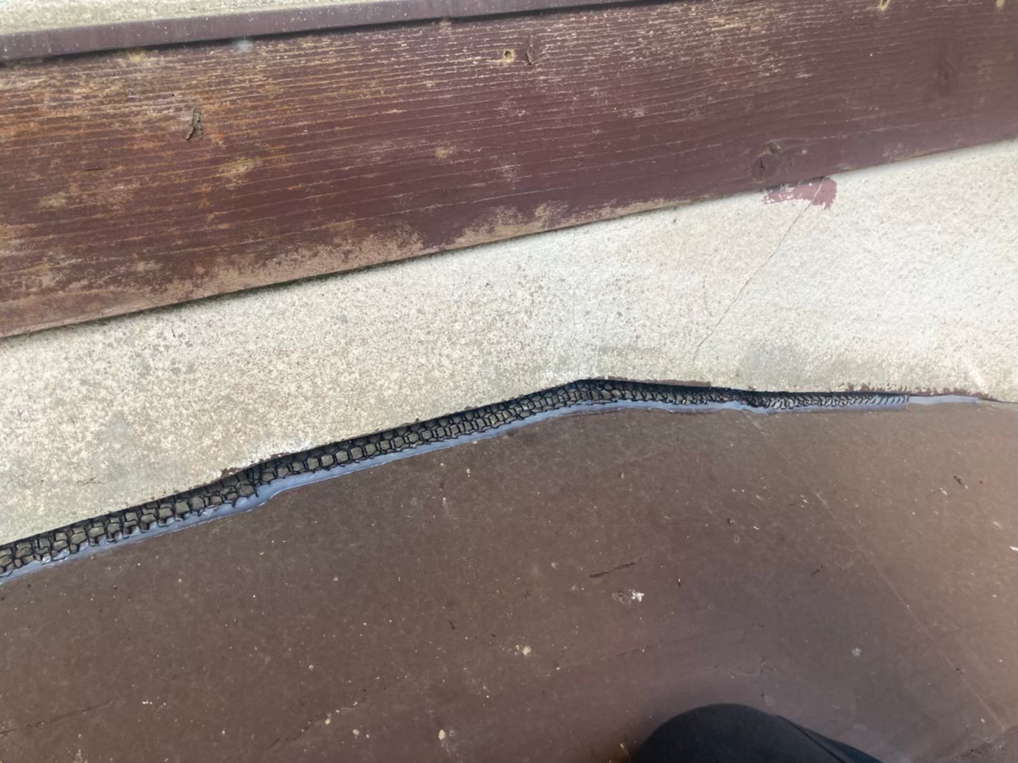 コウモリによる被害　株式会社S　T様　駆除実績