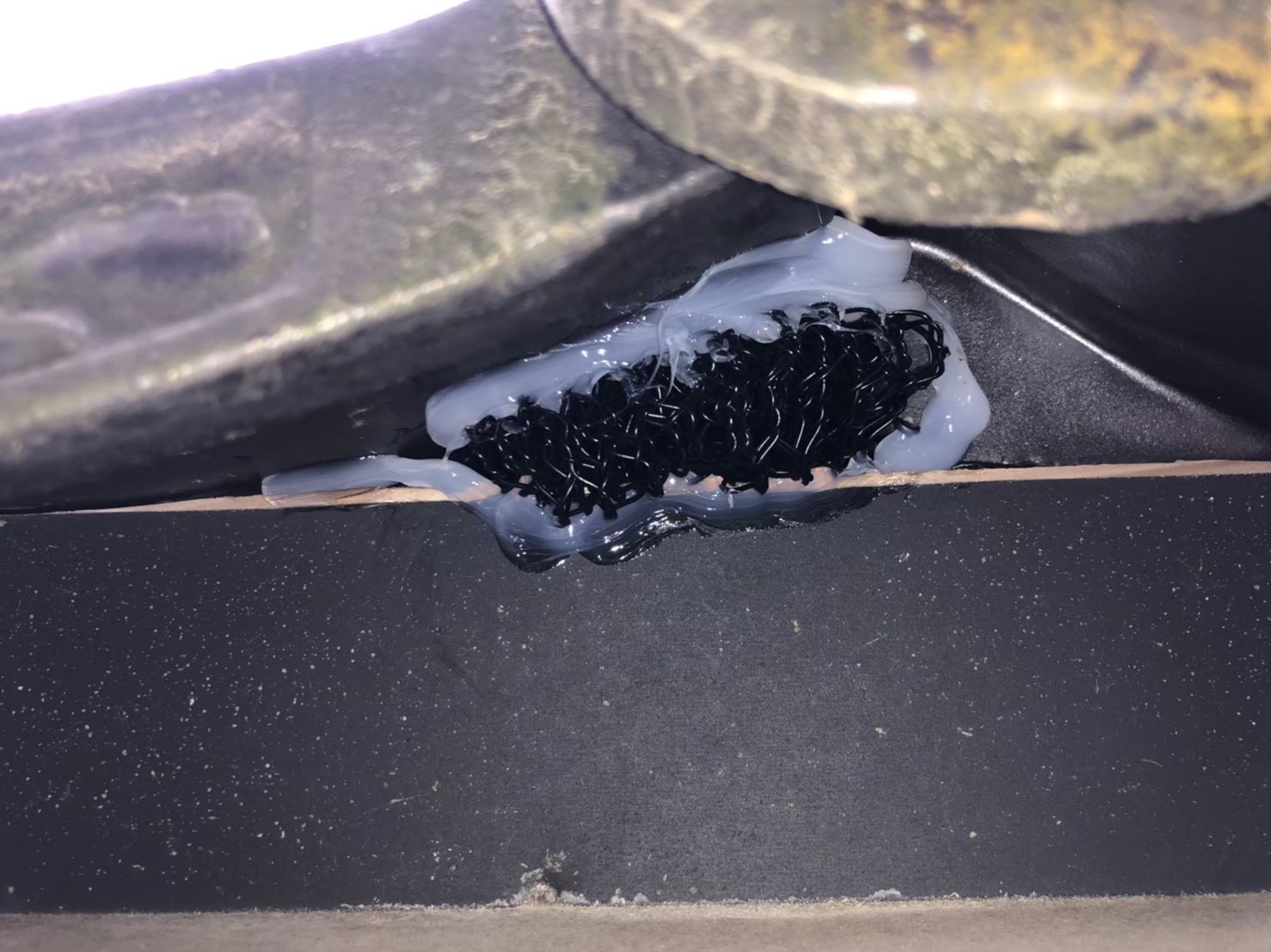 コウモリによる被害　H様邸　駆除実績