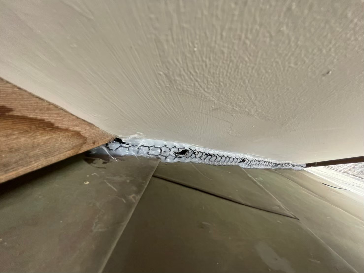 コウモリによる被害　H様邸　駆除実績