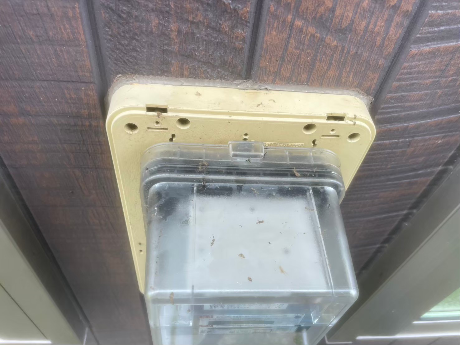 福岡県大牟田市　コウモリによる被害　H様邸　駆除実績