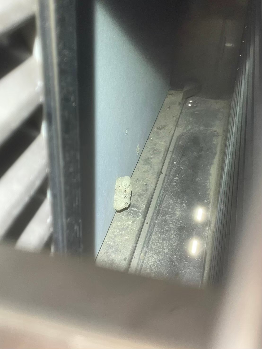 福岡県小郡市　コウモリによる被害　A様邸　駆除実績