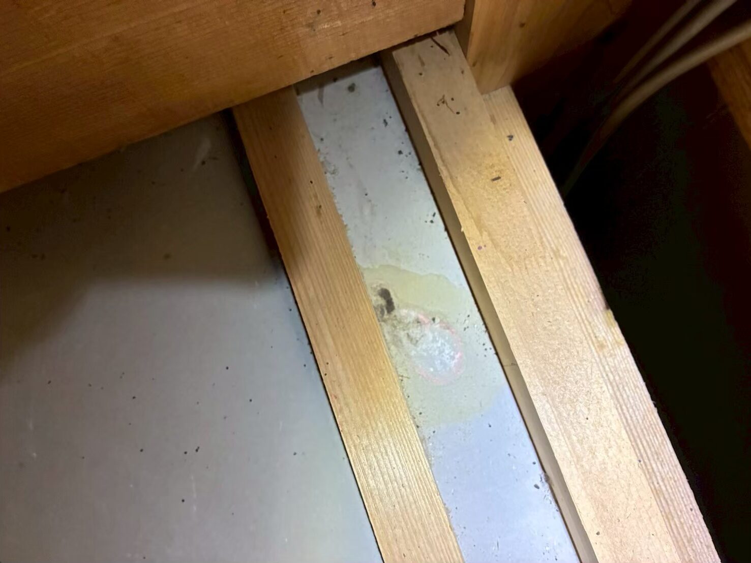 福岡県糟屋郡粕屋町　コウモリによる被害　O様邸　駆除実績