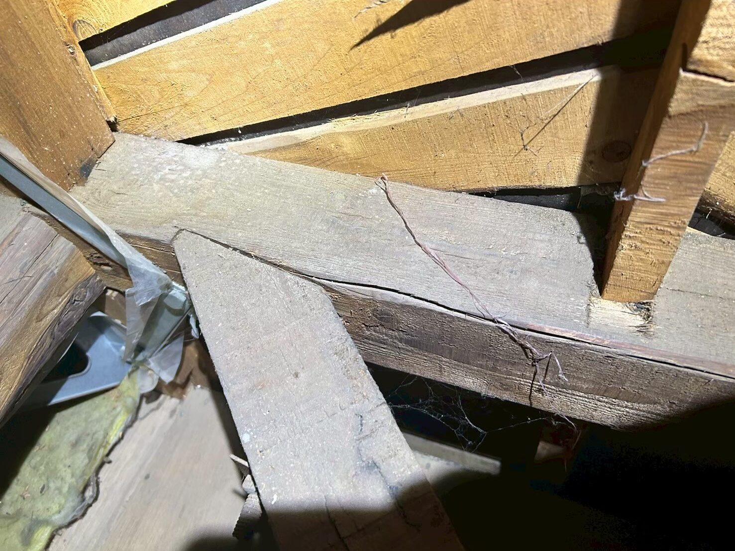 福岡県遠賀郡芦屋町　コウモリによる被害　E様邸　駆除実績