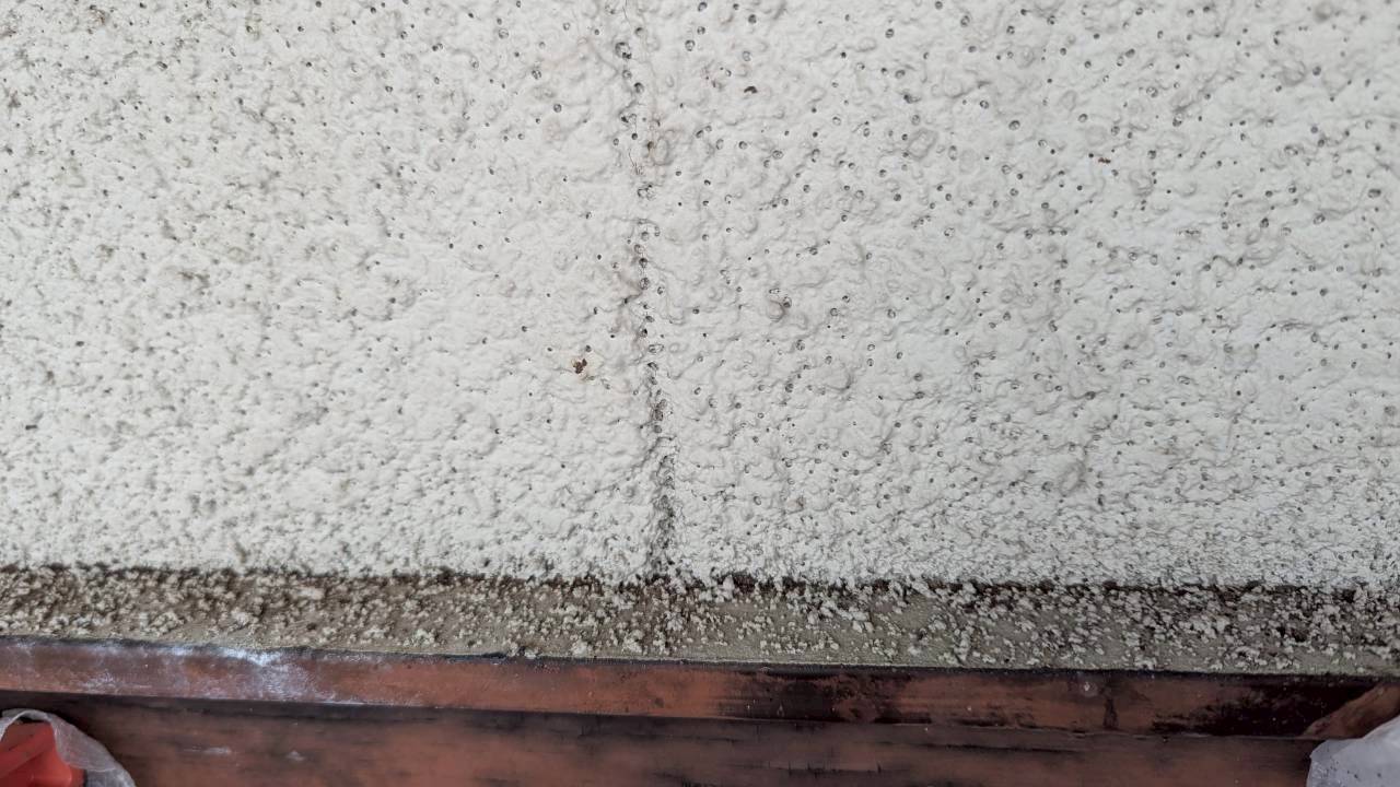 福岡県鞍手郡小竹町　コウモリによる被害　K様邸　駆除実績