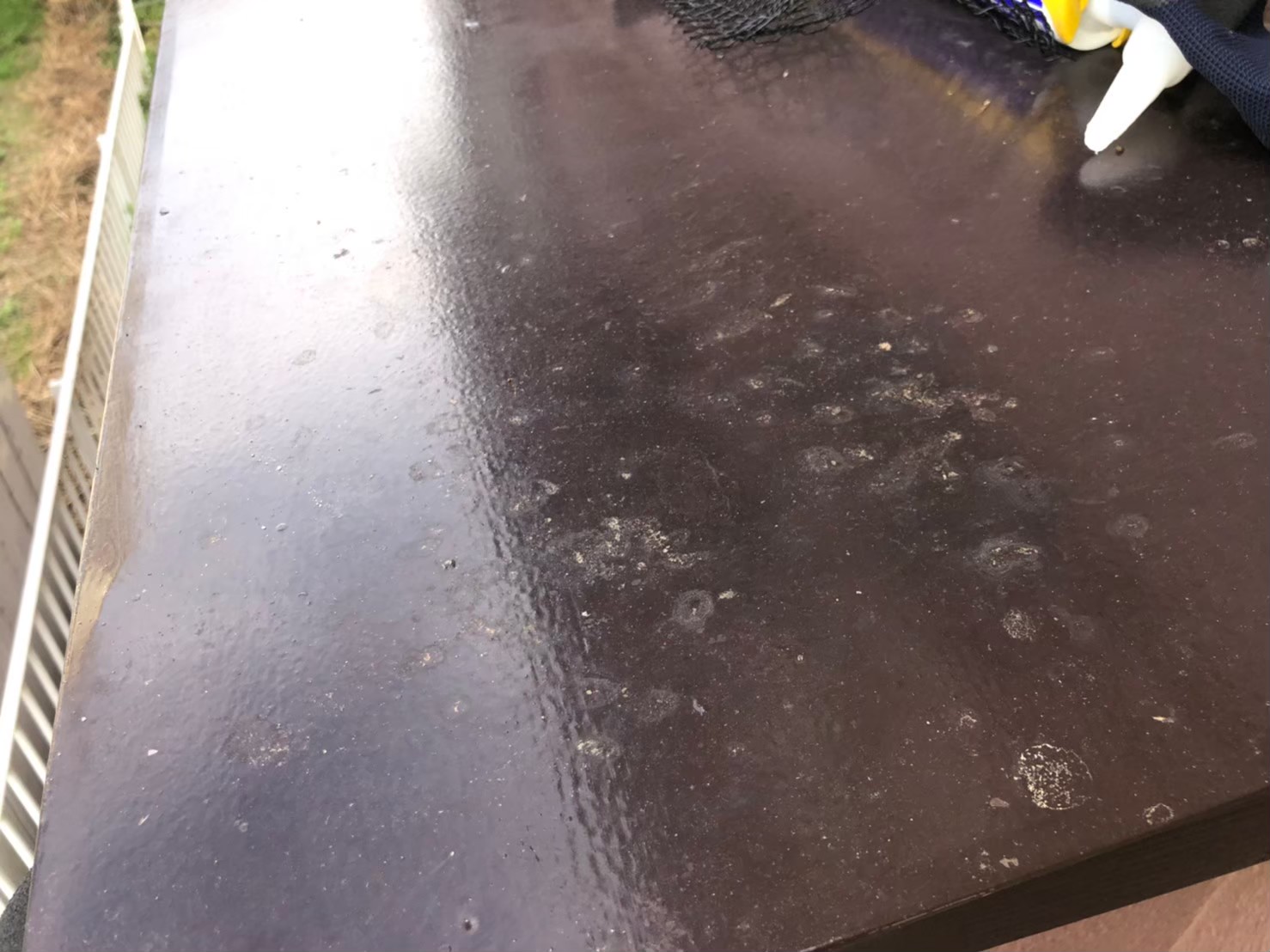 佐賀県三養基郡上峰町　コウモリによる被害　U様邸　駆除実績