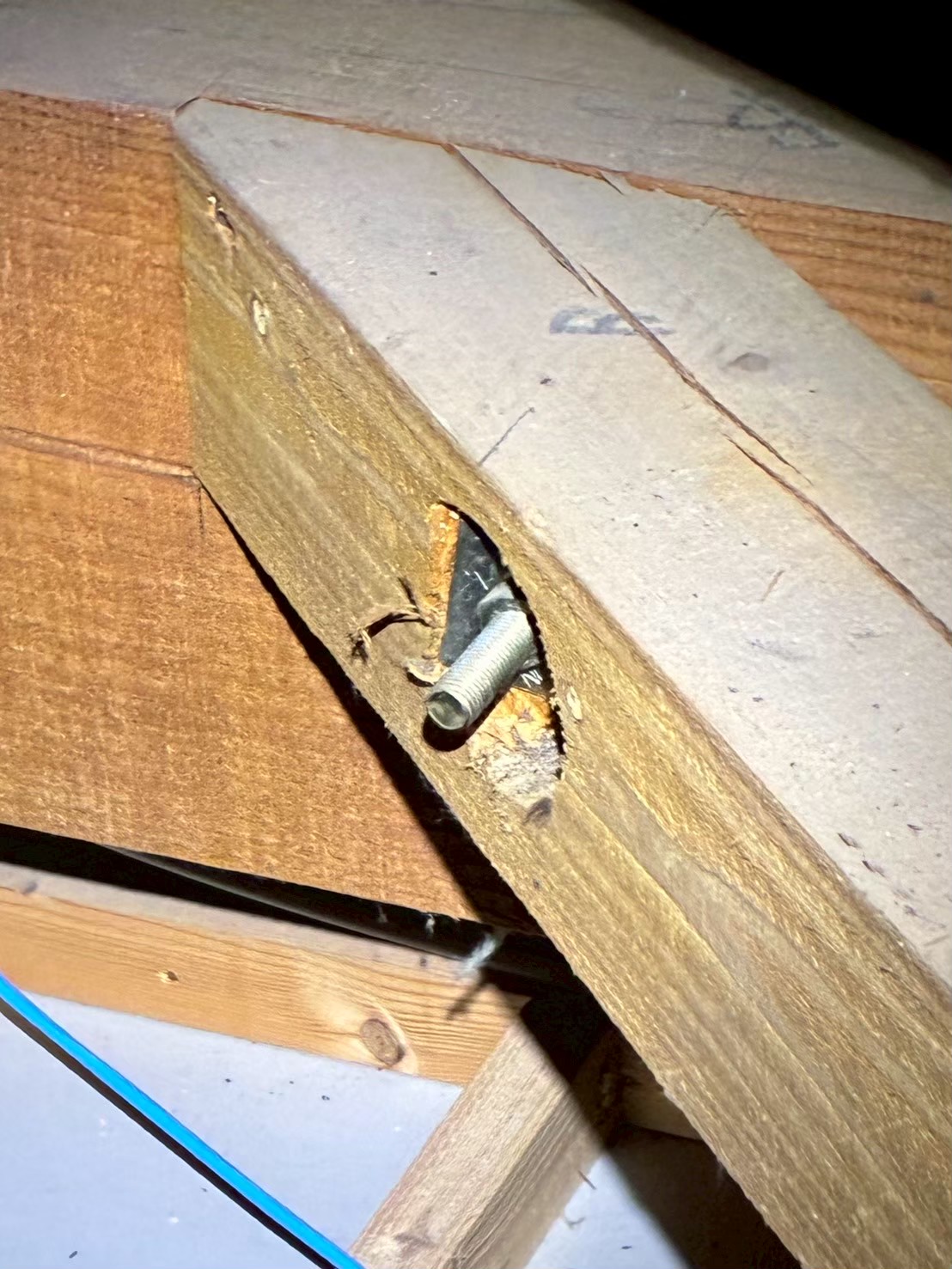福岡県糟屋郡粕屋町　コウモリによる被害　O様邸　駆除実績