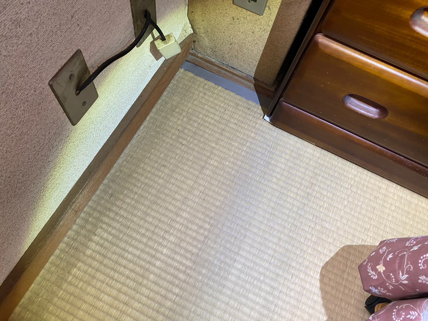 大分県日田市　コウモリによる被害　T様邸　駆除実績