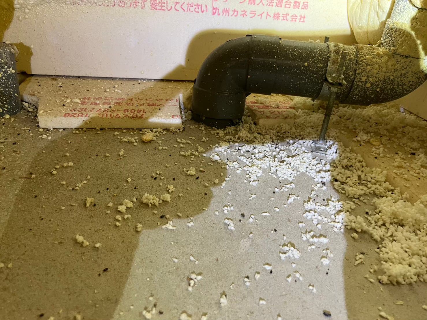 大分県玖珠郡玖珠町　コウモリによる被害　D様邸　駆除実績