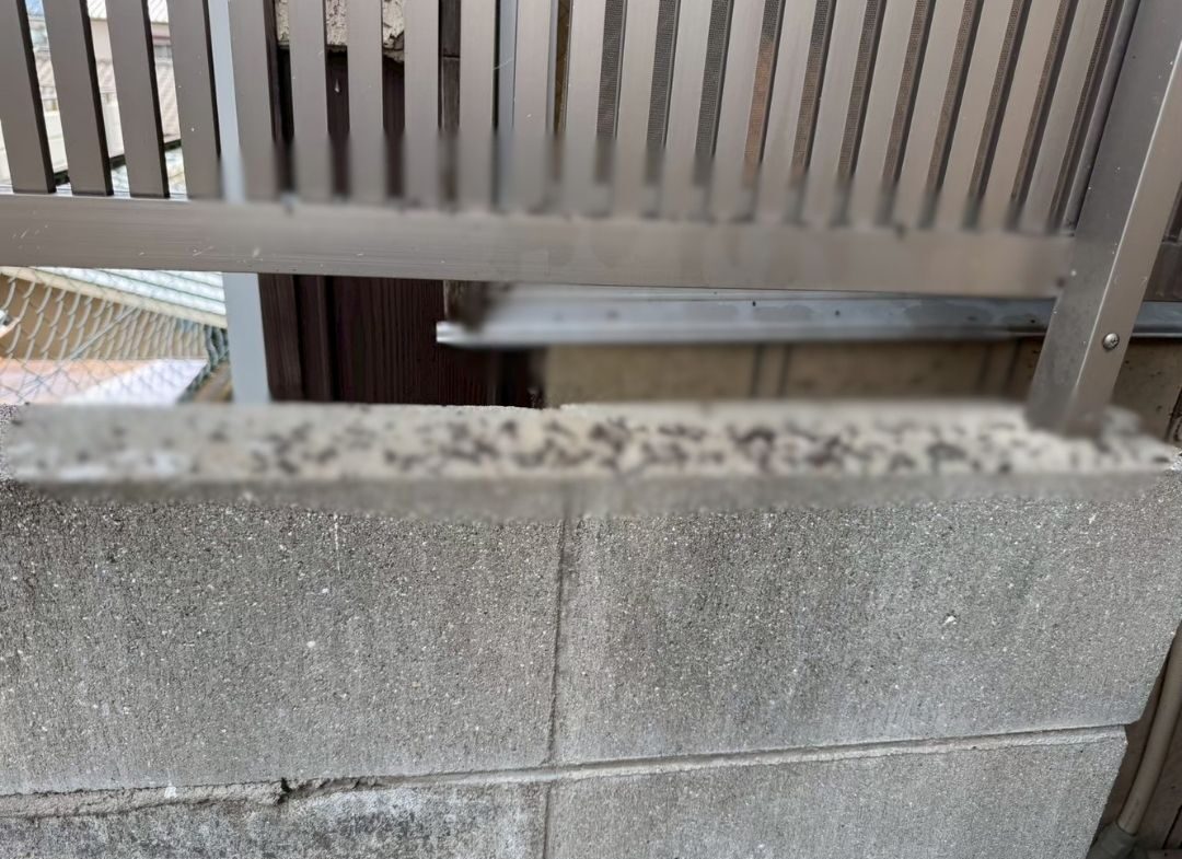 山口県美祢市　コウモリによる被害　E様邸　駆除実績