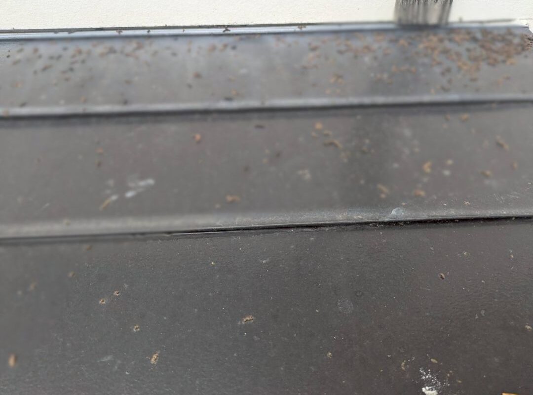 大分県宇佐市　コウモリによる被害　W様邸　駆除実績