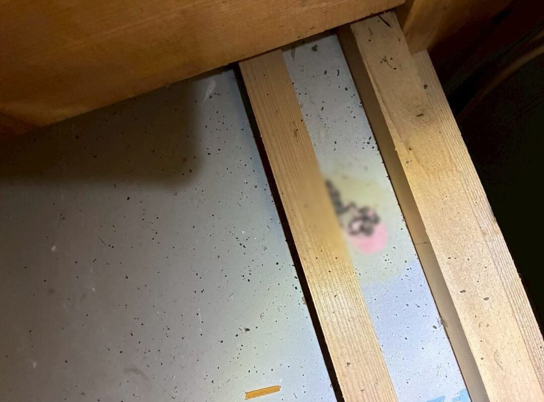 福岡県糟屋郡粕屋町　コウモリによる被害　O様邸　駆除実績