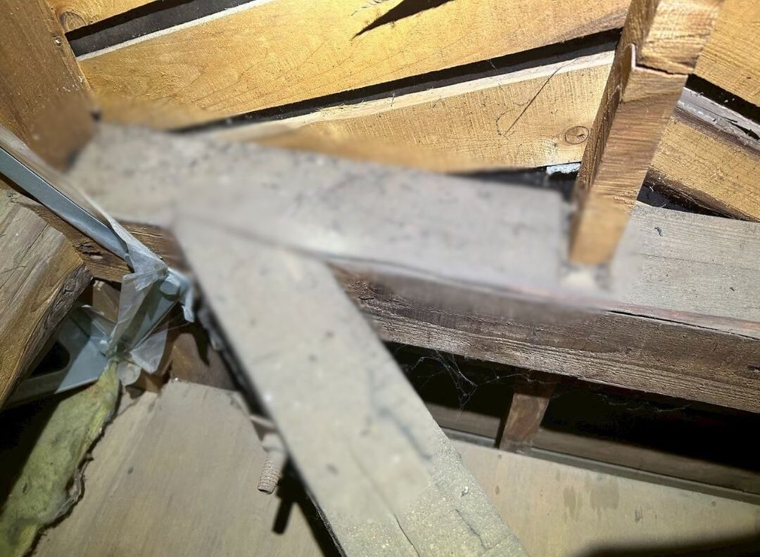 福岡県遠賀郡芦屋町　コウモリによる被害　E様邸　駆除実績