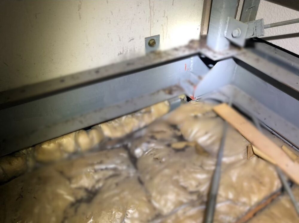 佐賀県三養基郡基山町　コウモリによる被害　S様邸　駆除実績