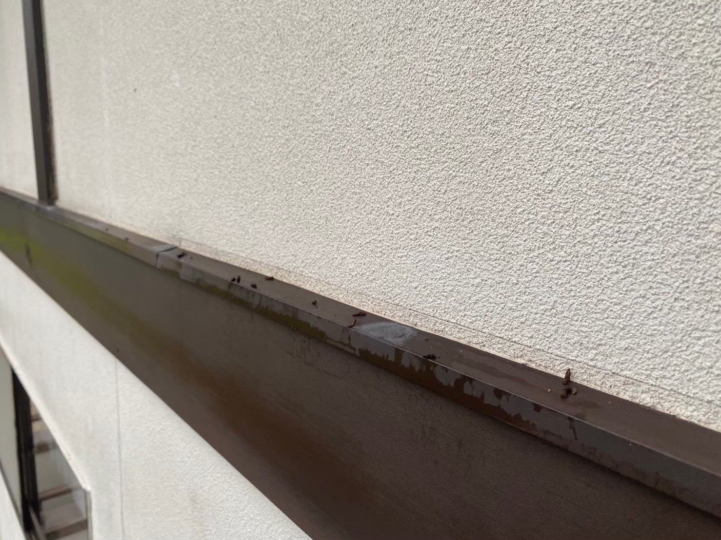 ネズミによる被害　K様邸　駆除実績