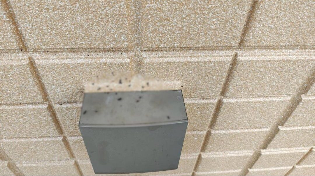 佐賀県杵島郡大町町　コウモリによる被害　O様邸　駆除実績
