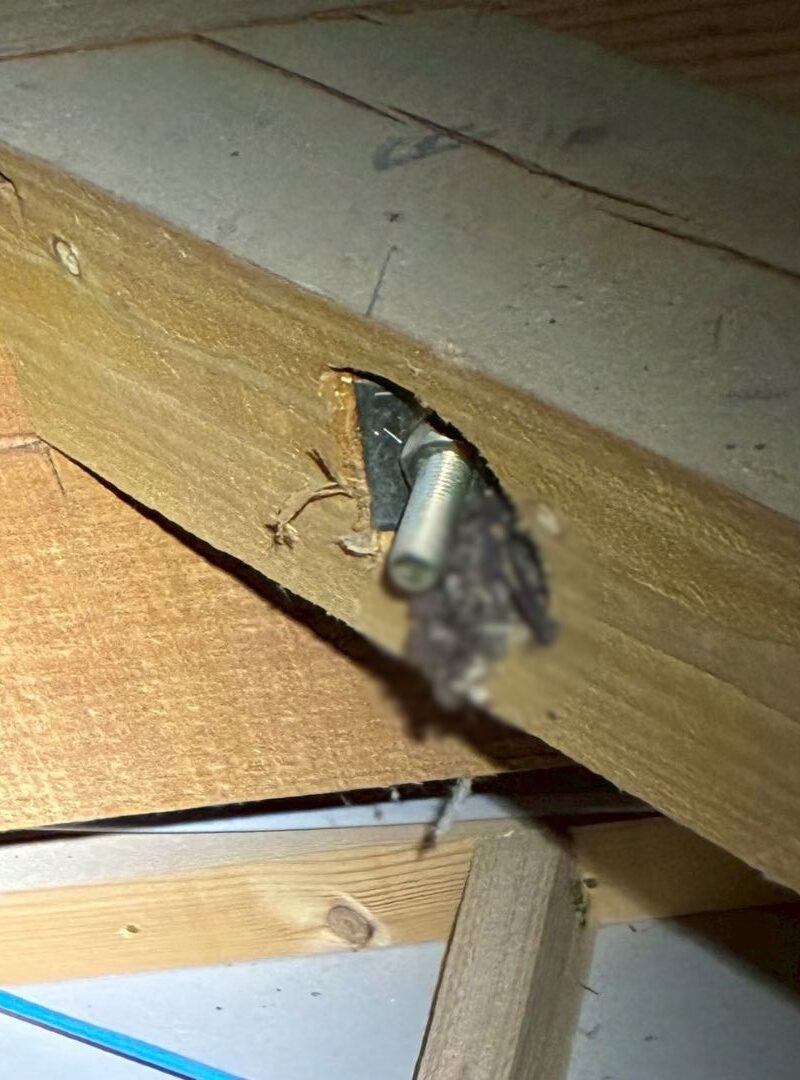 福岡県糟屋郡粕屋町　コウモリによる被害　O様邸　駆除実績