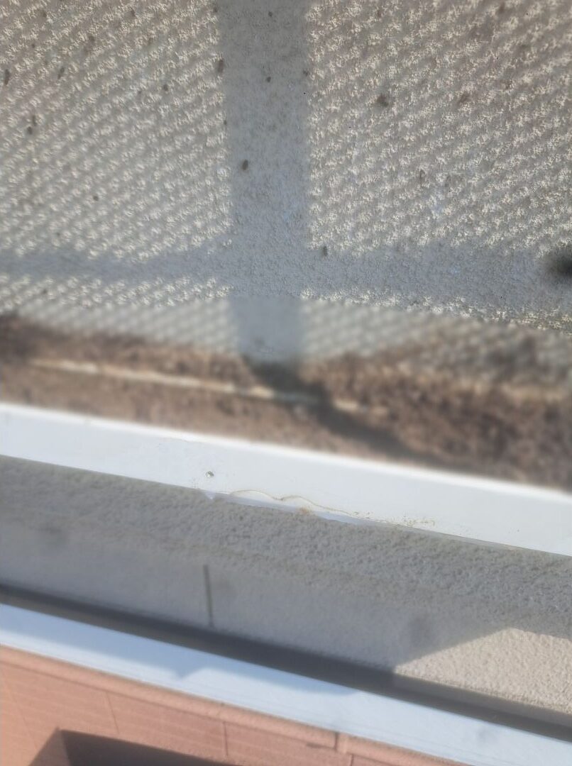 大分県玖珠郡玖珠町　コウモリによる被害　U様邸　駆除実績