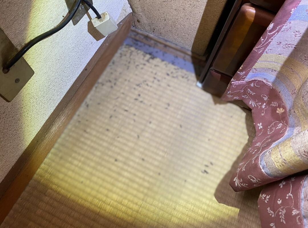 大分県日田市　コウモリによる被害　T様邸　駆除実績