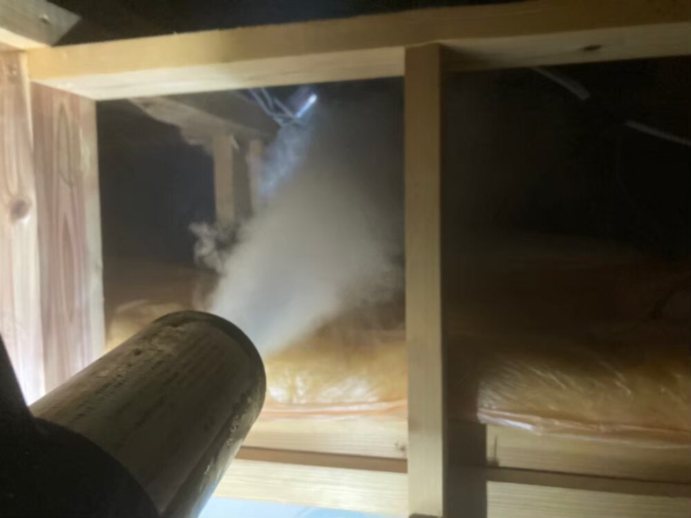 コウモリによる被害　U様邸　駆除実績