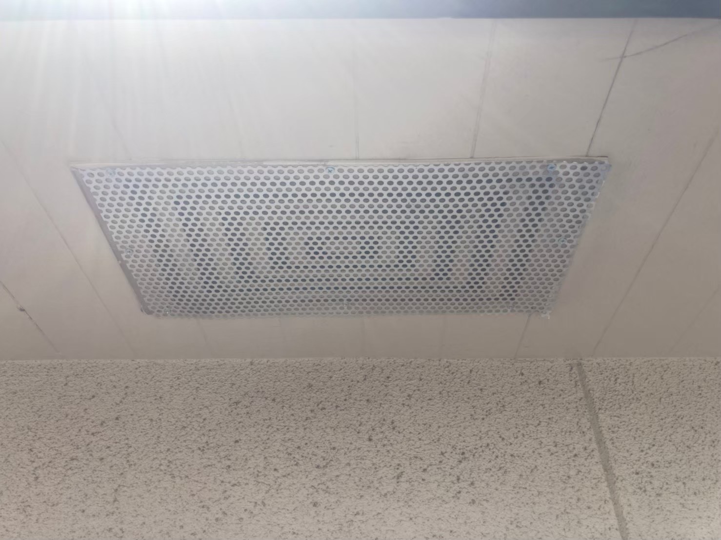 コウモリによる被害　U様邸　駆除実績