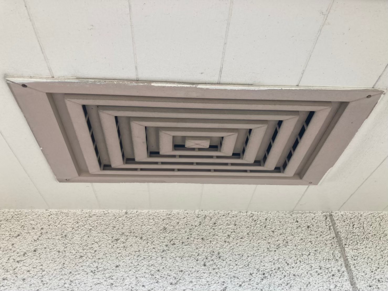 コウモリによる被害　U様邸　駆除実績