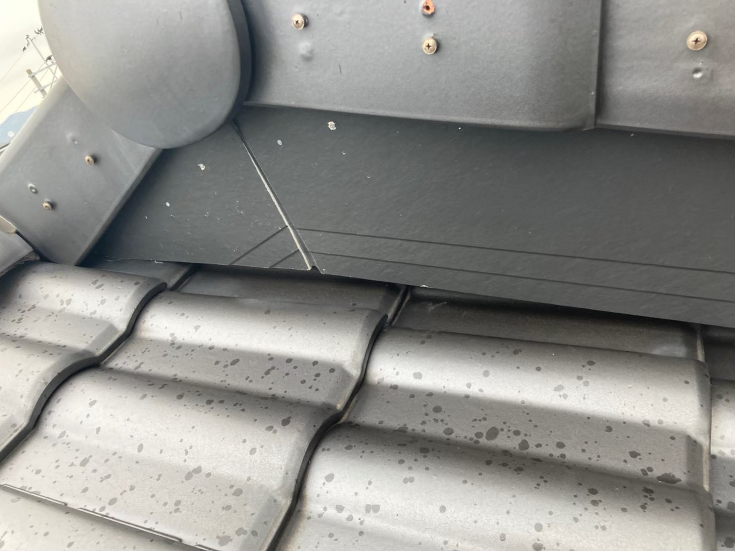 コウモリによる被害　U様邸　駆除実績