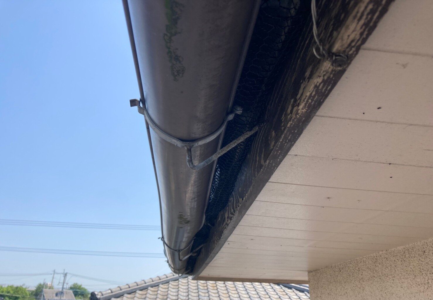 コウモリによる被害　A様邸　駆除実績