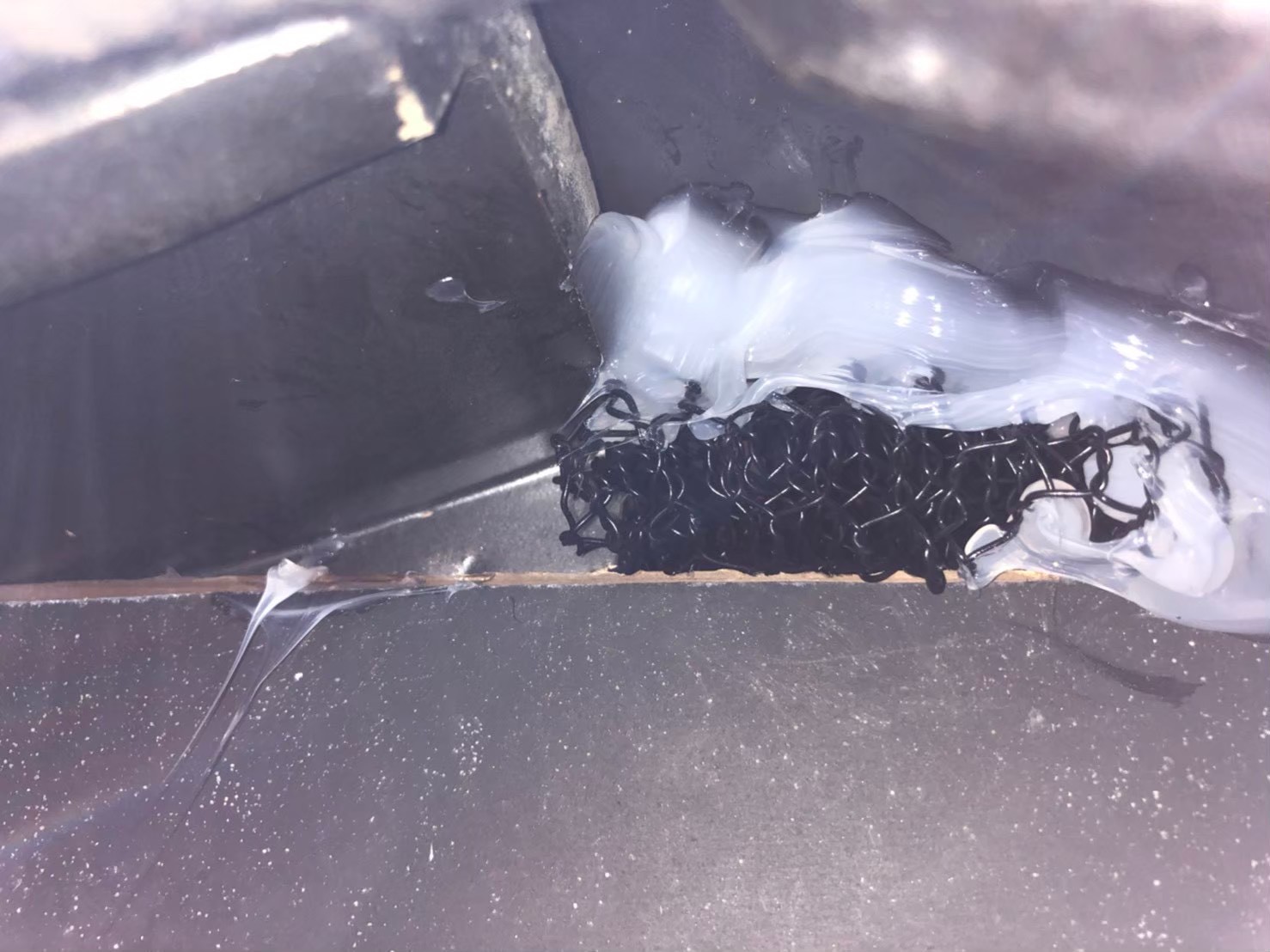 コウモリによる被害　A様邸　駆除実績