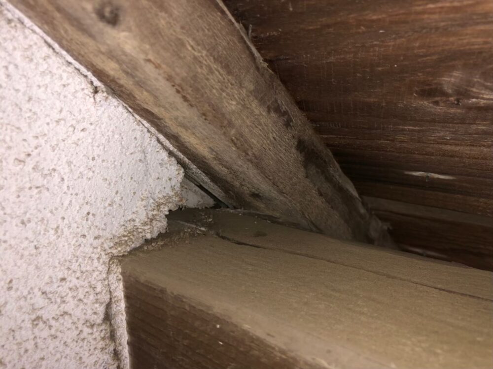 コウモリによる被害　A様邸　駆除実績