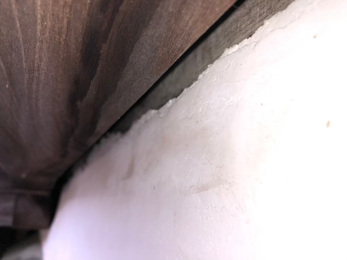 コウモリによる被害　A様邸　駆除実績