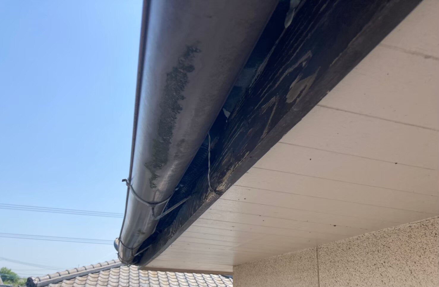 コウモリによる被害　A様邸　駆除実績