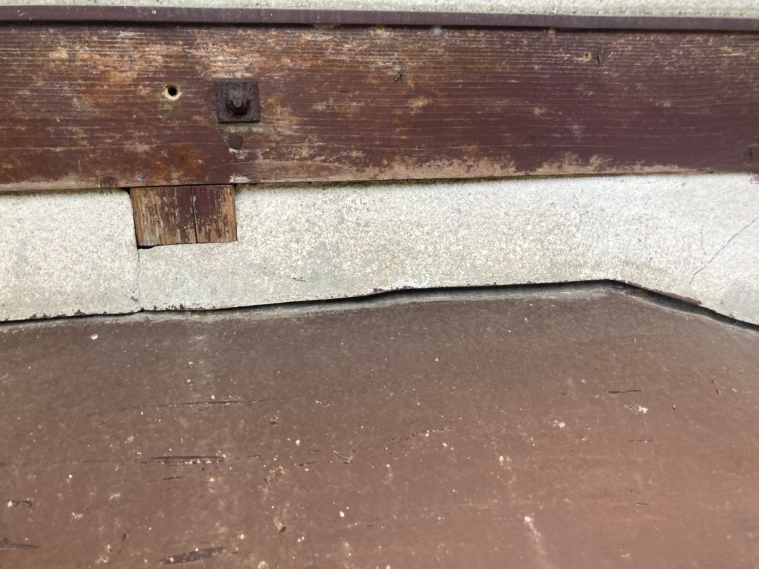 コウモリによる被害　株式会社S　T様　駆除実績