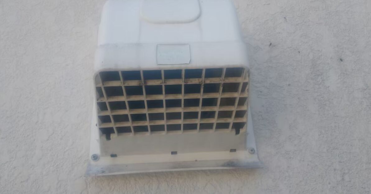 コウモリによる被害　株式会社M S様　駆除実績