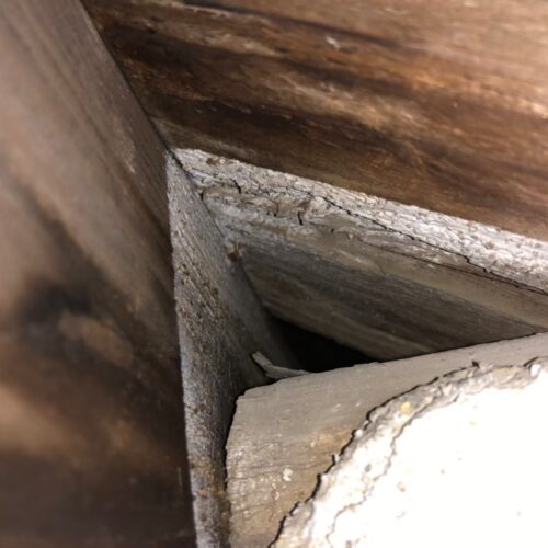 コウモリ侵入口の封鎖工事の様子