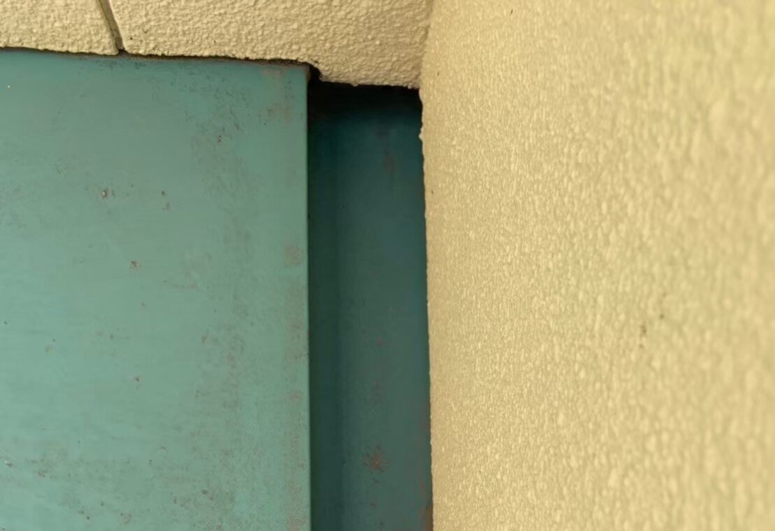 コウモリによる被害　株式会社S　T様　駆除実績