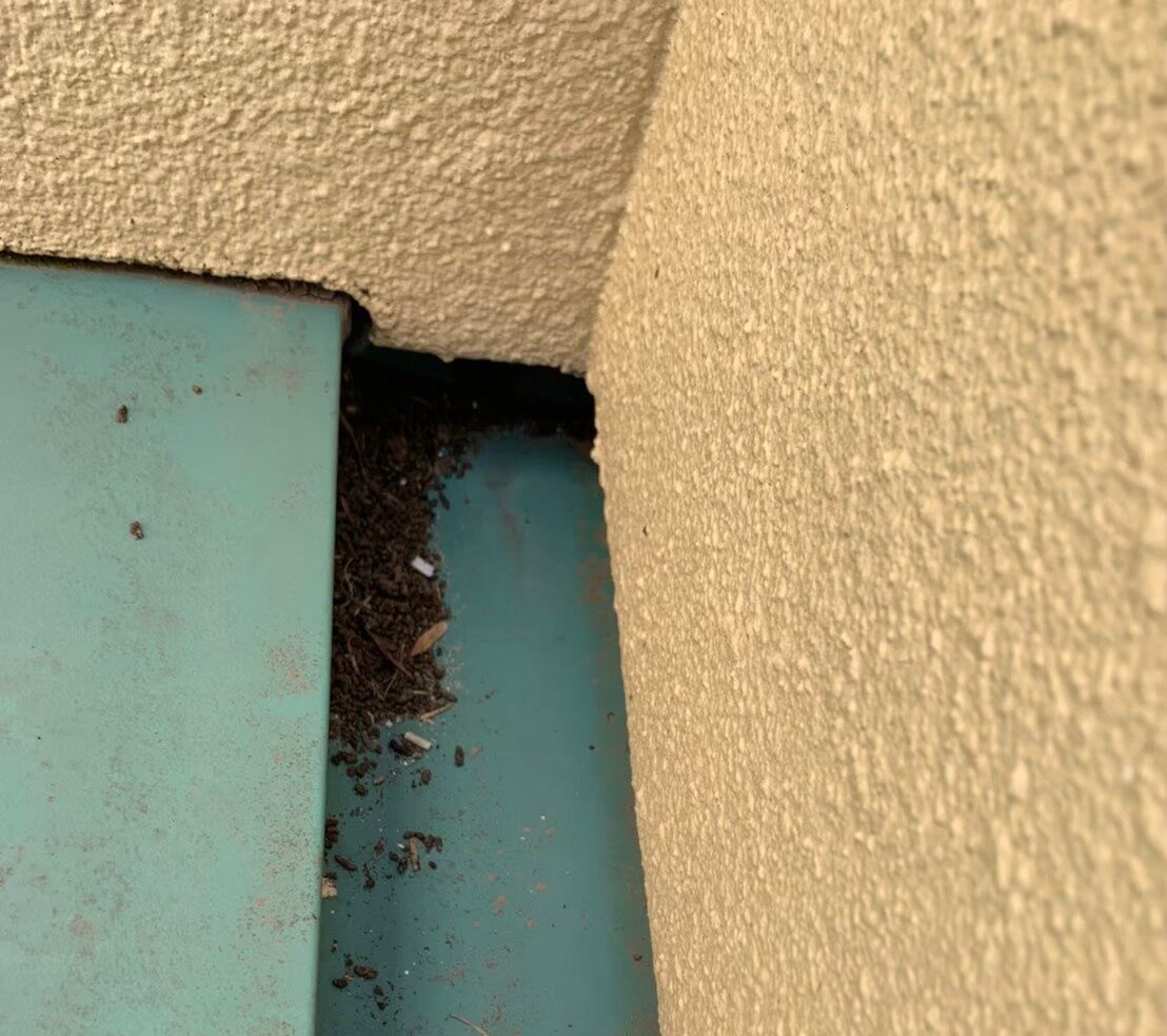 コウモリによる被害　株式会社S　T様　駆除実績