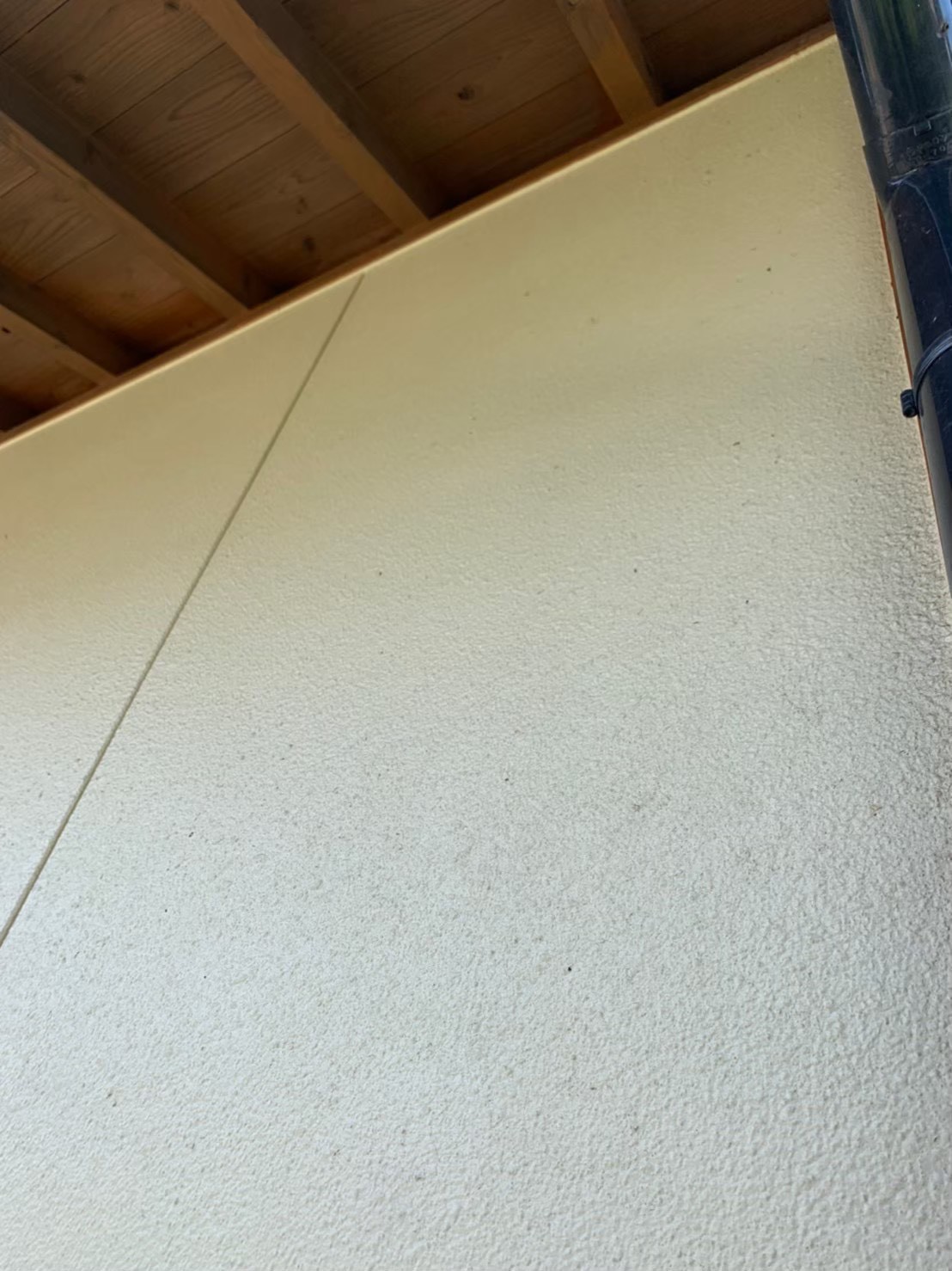 コウモリによる被害　株式会社S　T様　駆除実績