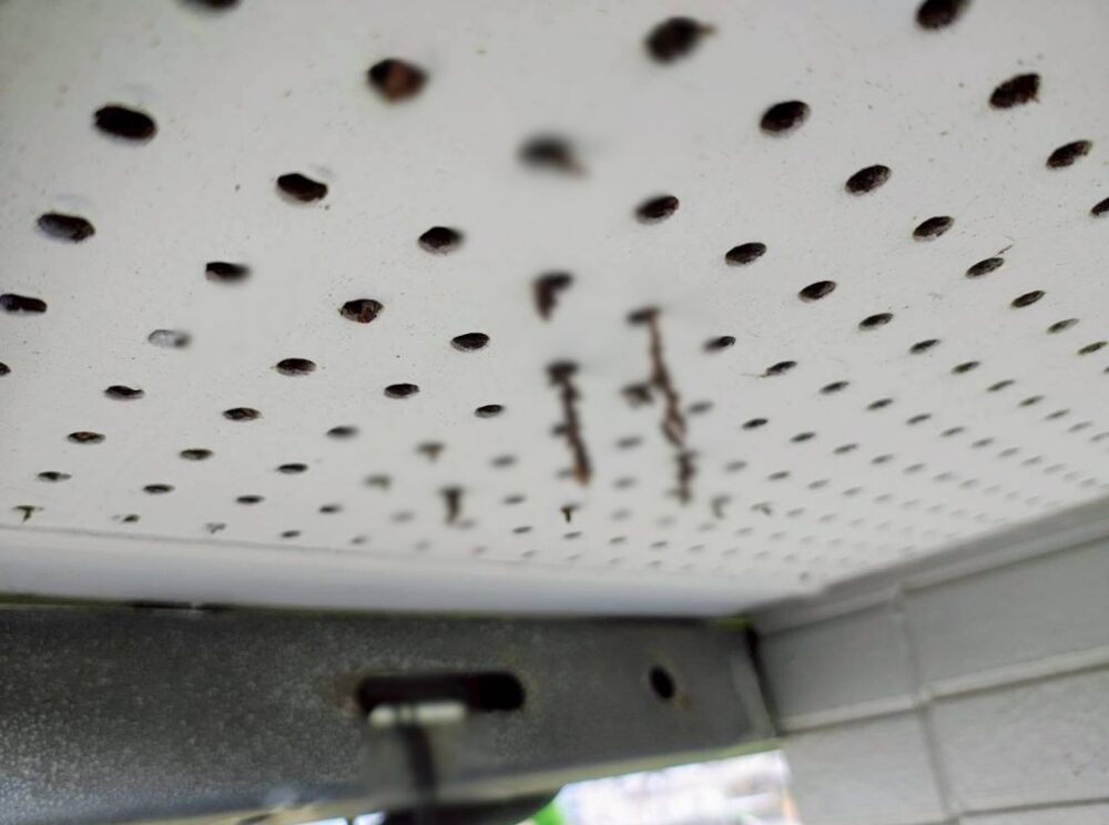 福岡県三井郡大刀洗町　コウモリによる被害　T様邸　駆除実績