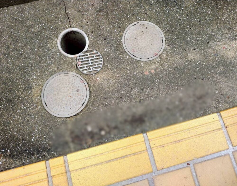 長崎県西彼杵郡長与町　コウモリによる被害　O様邸　駆除実績