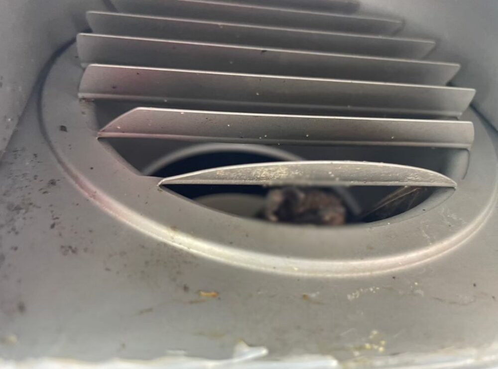 山口県山陽小野田市　コウモリによる被害　M様邸　駆除実績