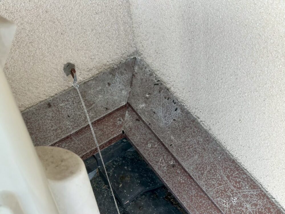大分県玖珠郡玖珠町　コウモリによる被害　Y様邸　駆除実績