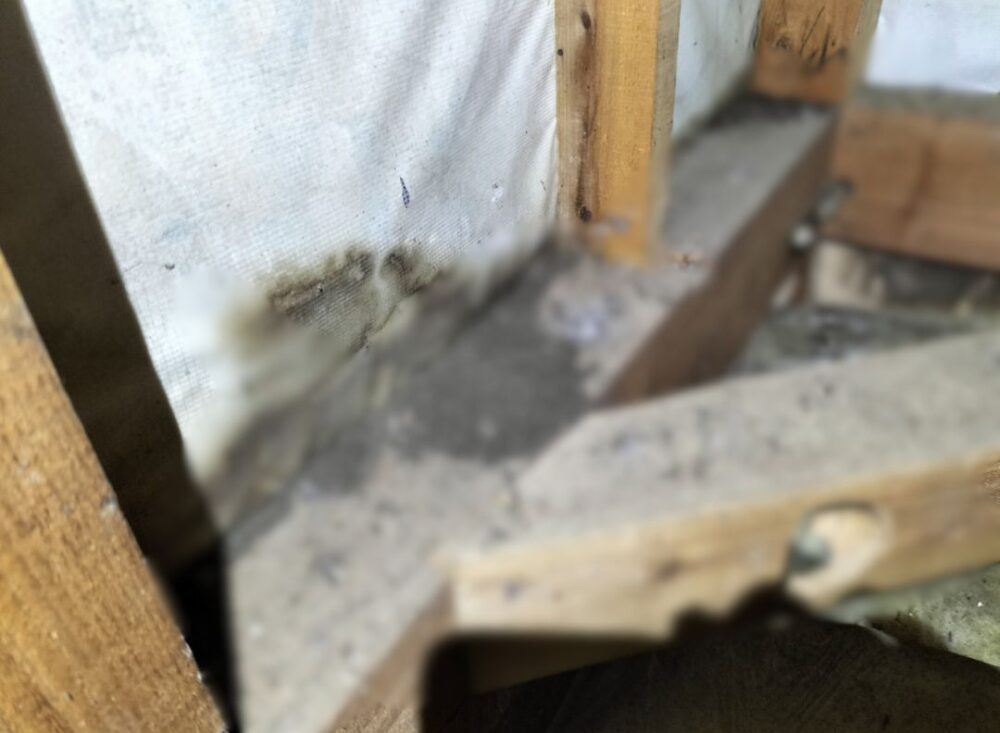 佐賀県鹿島市　コウモリによる被害　F様邸　駆除実績