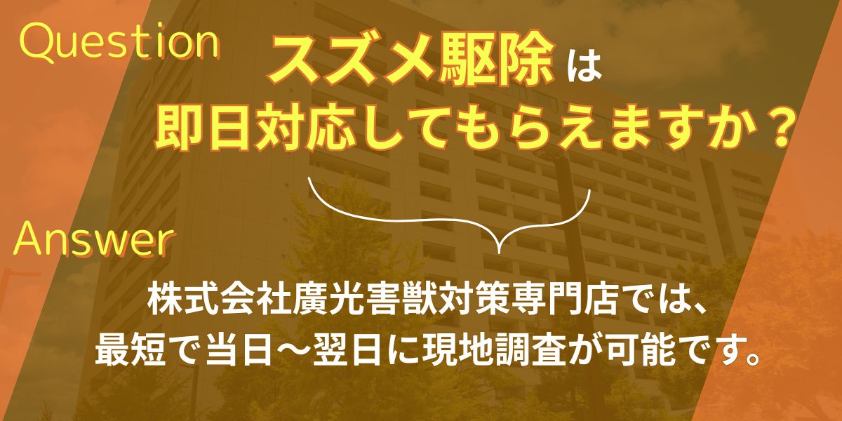 スズメ駆除は即日対応してもらえますか？
