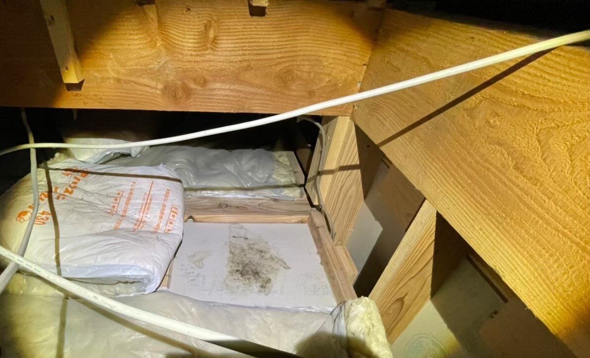 テン（貂）による被害　M様邸　駆除実績