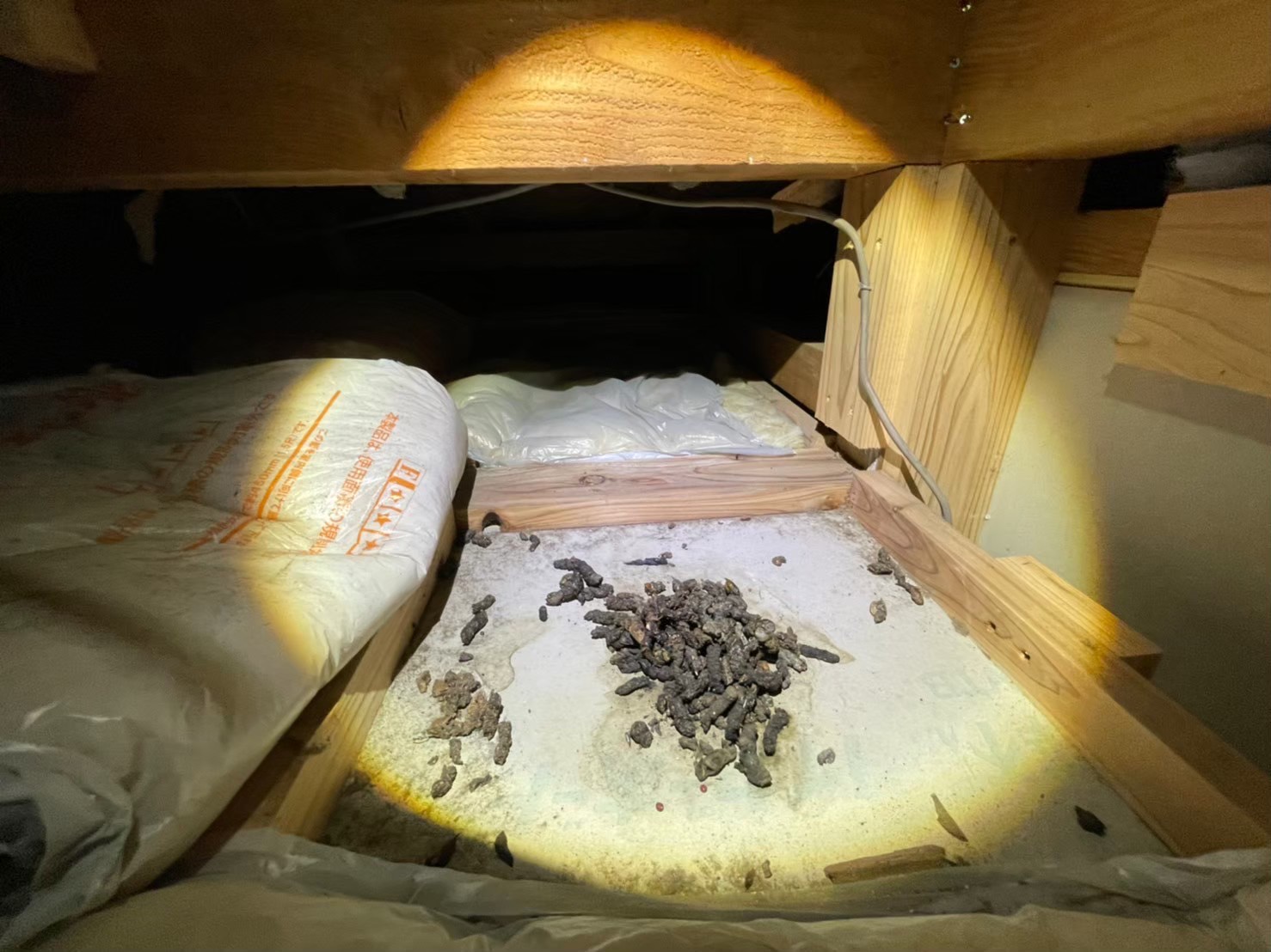 テン（貂）による被害　M様邸　駆除実績