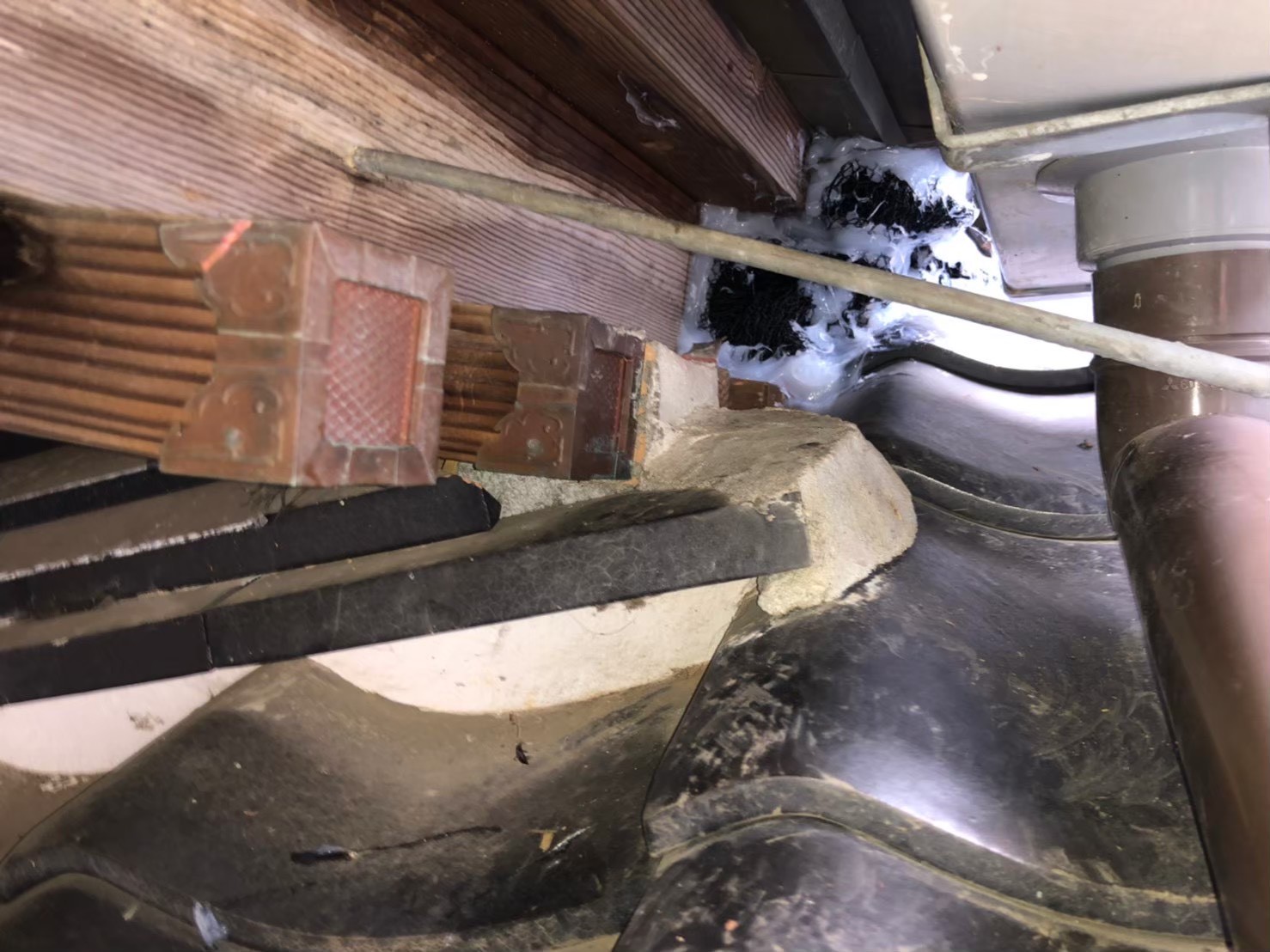 テン（貂）による被害　M様邸　駆除実績