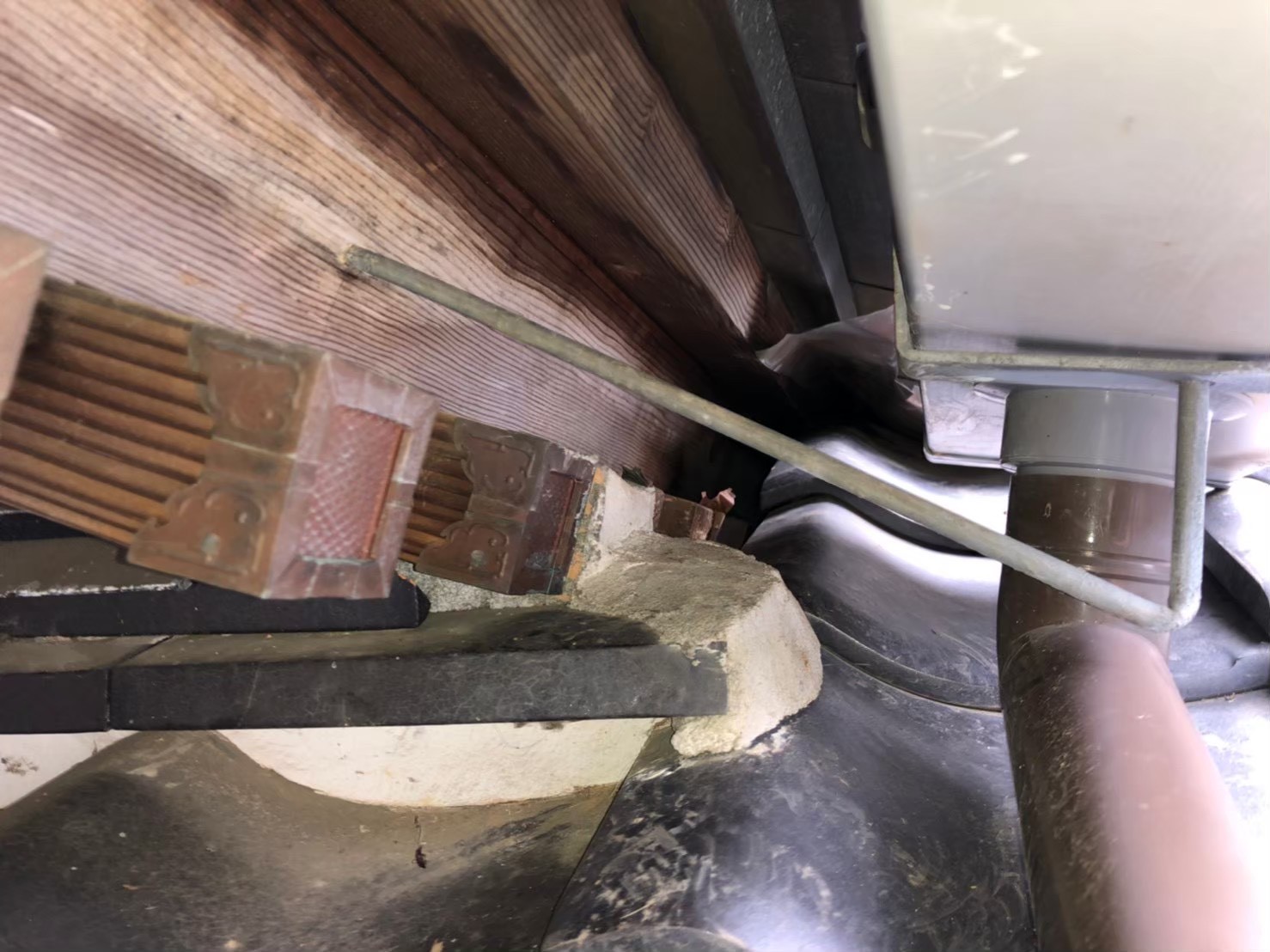 テン（貂）による被害　M様邸　駆除実績