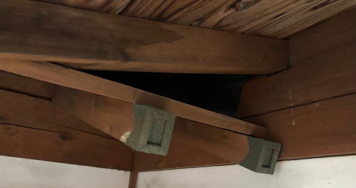 中型害獣による被害　U様邸　駆除実績