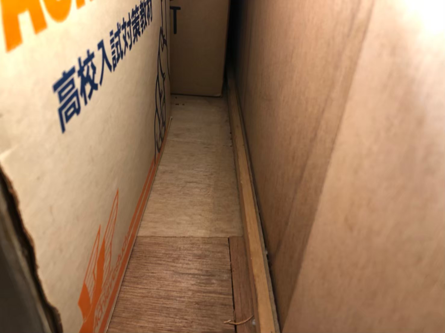 大分市日田市　ネズミによる被害　S様邸　駆除実績