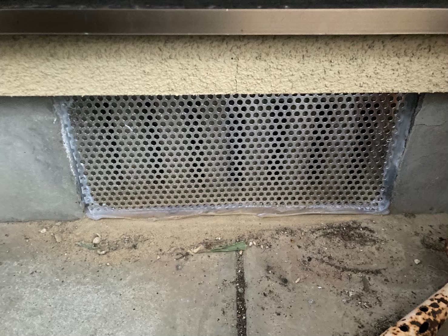 ネズミ・コウモリによる被害　M様邸　駆除実績